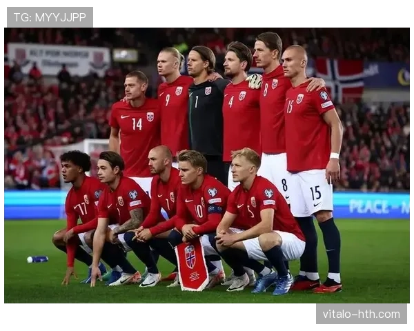 欧洲多国联合举办欧洲杯,携手共迎足球盛宴 欧洲多国联合举办欧洲杯,携手共迎足球盛宴